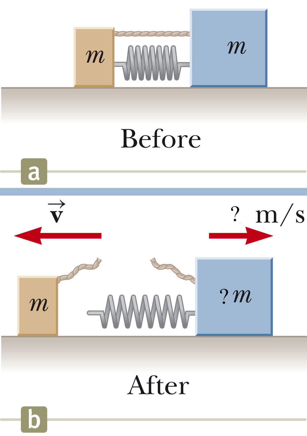 Solved Before ? m/s ? m After | Chegg.com